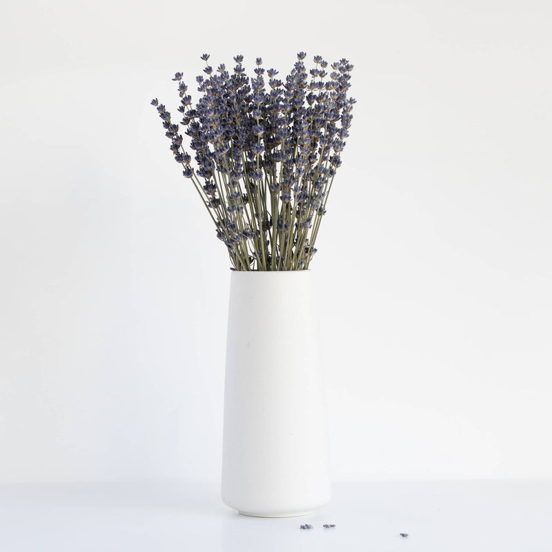Dried Lavender Bunch