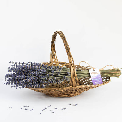Hunter Lavender Farm Dried Lavender Bunch