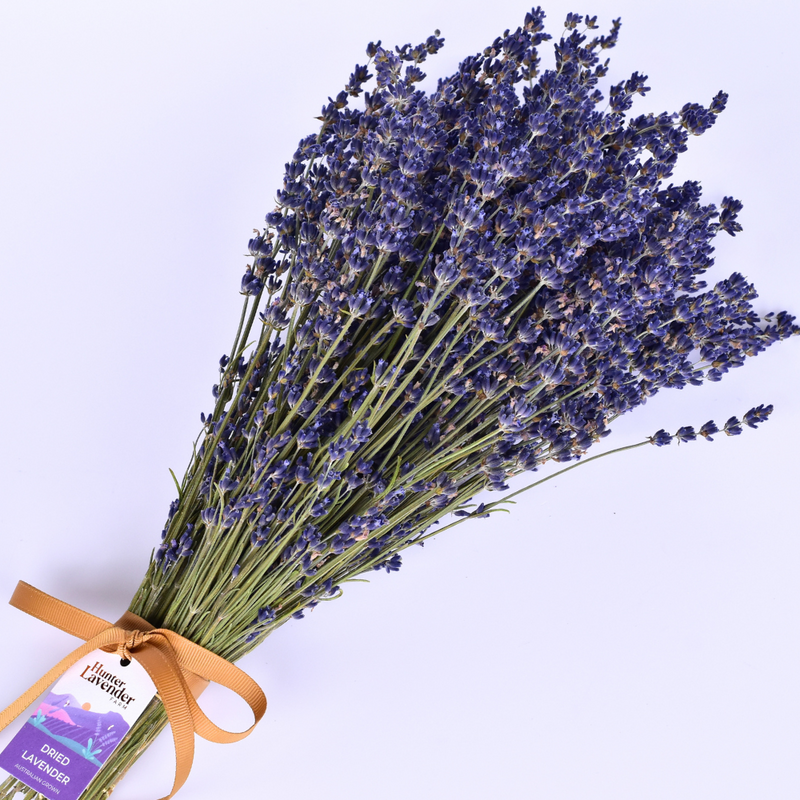 Dried Flower Naturally Dried Lavender