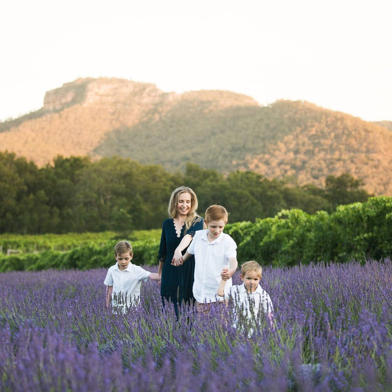 Lavender Field Walk