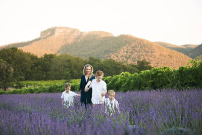 Lavender Field Walk
