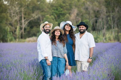 Lavender Field Walk