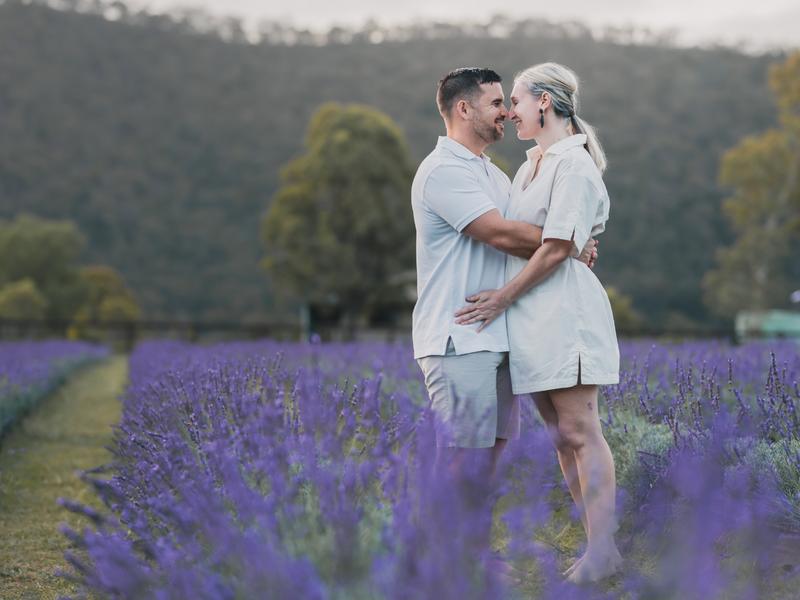 Lavender Mini Photo Session