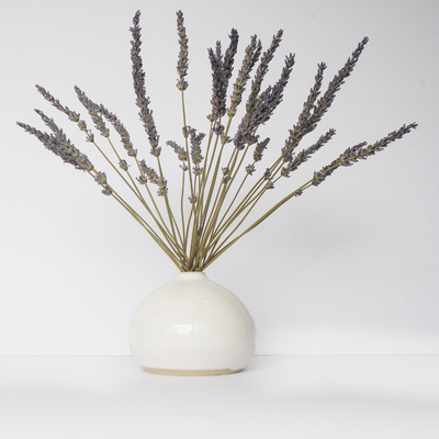 Dried lavender flower arrangement