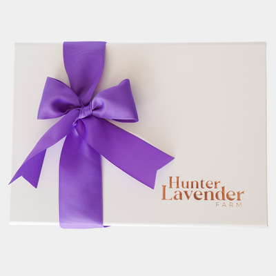 Hunter Lavender Farm Gift Box Purple ribbon