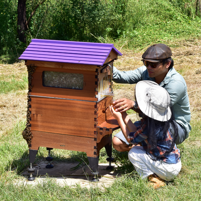 Hunter Lavender Farm Honey Harvest Experience Sydney and Hunter Valley NSW
